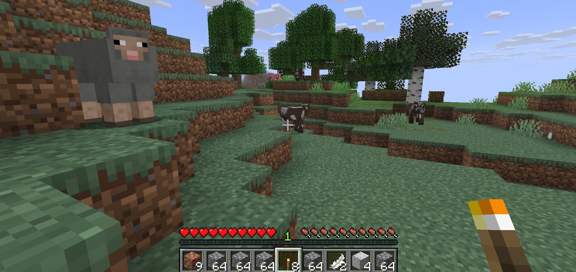 gameplay